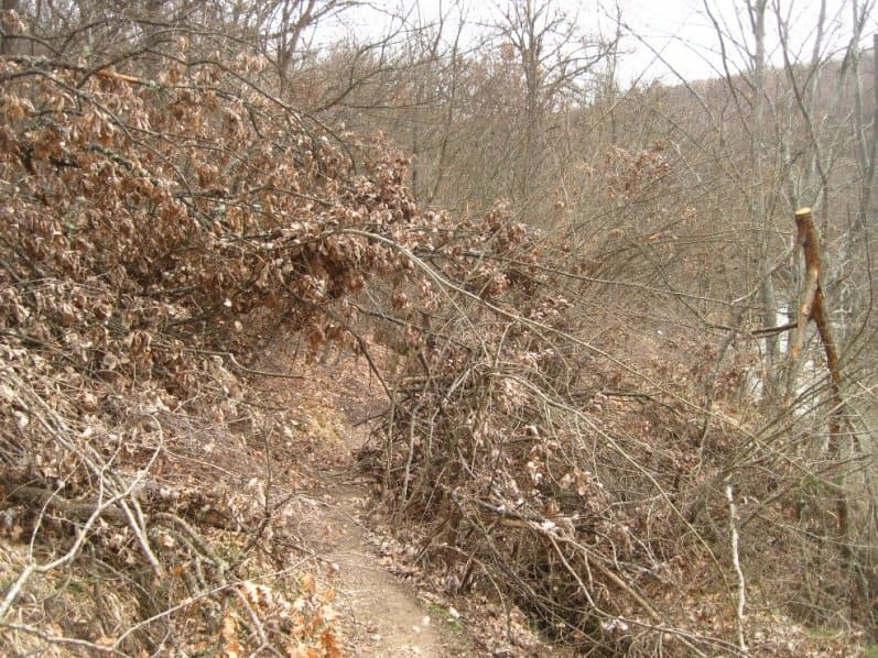 как добраться в Большой каньон Крыма