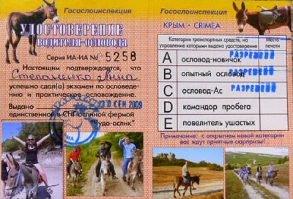 Удостоверение чудо-ослик