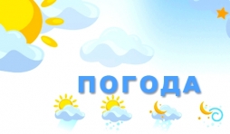 Погода в Щебетовке